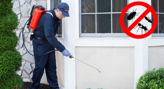 Diyadin Akrep İlaçlama böcek ilaçlama ve haşere kontrolü — ilaclama-tr.com